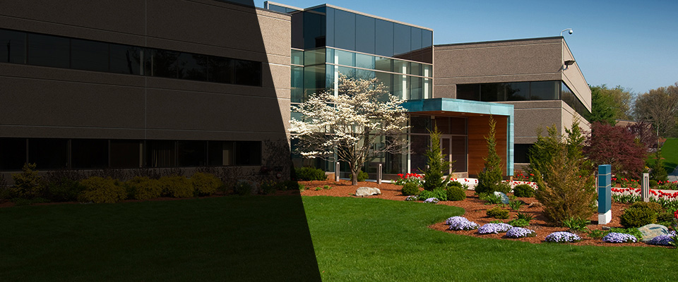 Olympia Landscapers