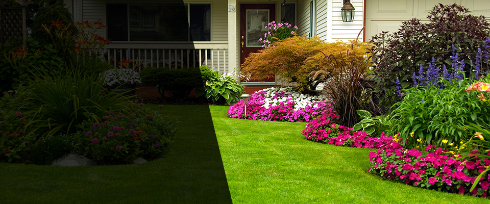 Olympia Landscapers