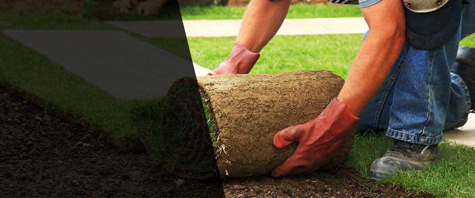 Olympia Landscapers
